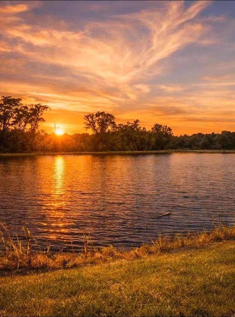 Serene pondside sunset reflection