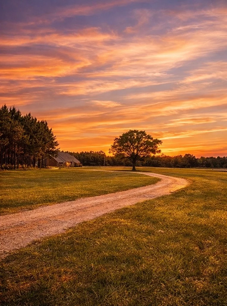 Sunset over estate with winding driveway